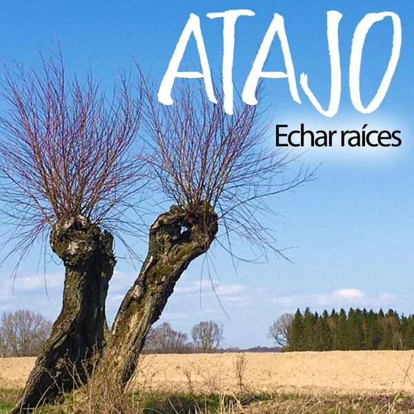 Cover art for Echar Raíces